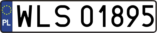 WLS01895