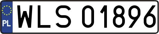 WLS01896