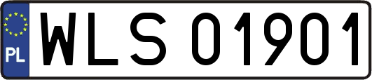 WLS01901