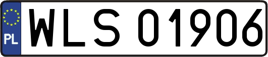 WLS01906