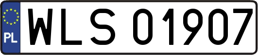 WLS01907