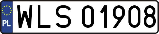WLS01908