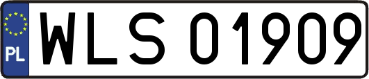 WLS01909
