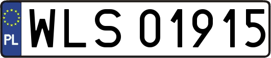 WLS01915