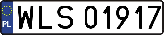 WLS01917