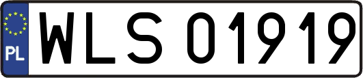 WLS01919