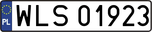 WLS01923