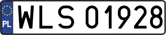 WLS01928
