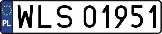 WLS01951