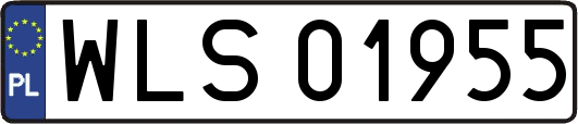 WLS01955