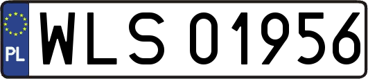 WLS01956