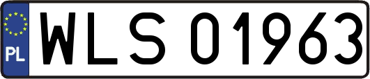 WLS01963