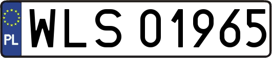 WLS01965