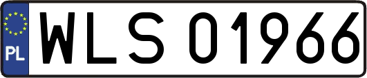 WLS01966