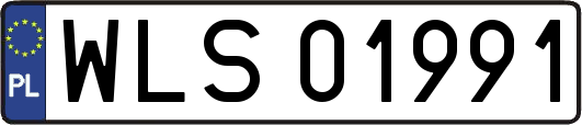 WLS01991