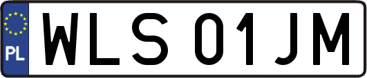 WLS01JM