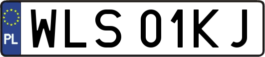 WLS01KJ