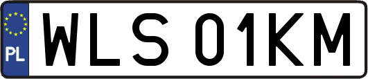 WLS01KM