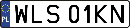 WLS01KN