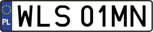 WLS01MN