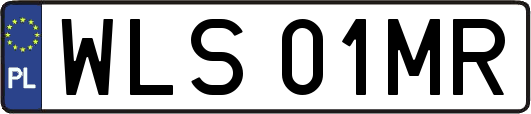 WLS01MR