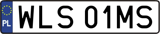 WLS01MS
