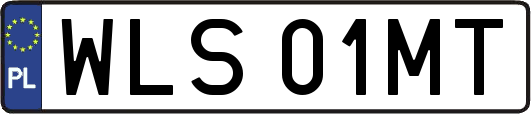 WLS01MT