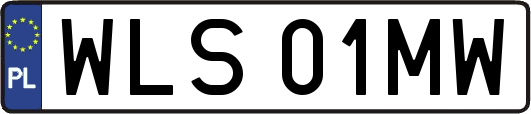 WLS01MW