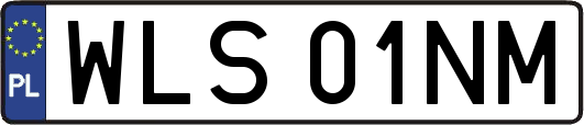 WLS01NM
