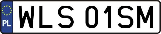 WLS01SM