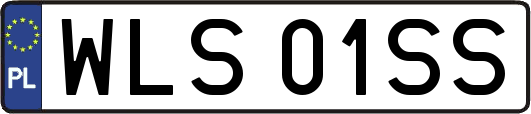 WLS01SS