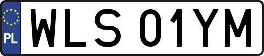 WLS01YM