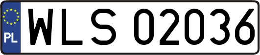 WLS02036
