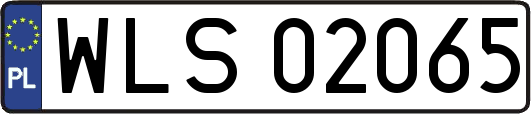 WLS02065