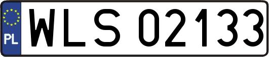 WLS02133