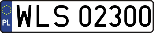 WLS02300