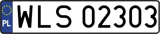 WLS02303