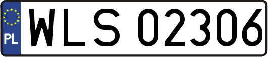WLS02306