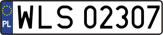 WLS02307