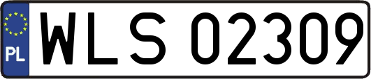 WLS02309
