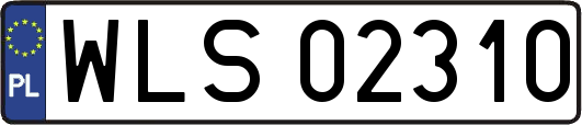 WLS02310