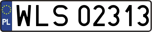 WLS02313