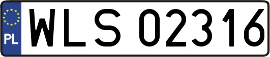 WLS02316