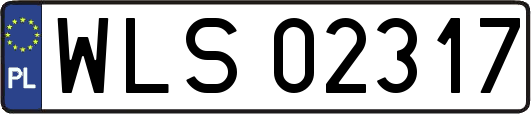 WLS02317