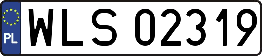 WLS02319