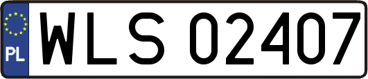 WLS02407
