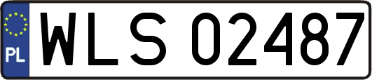 WLS02487