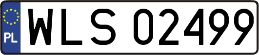 WLS02499