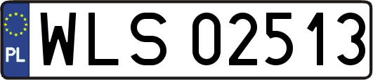 WLS02513