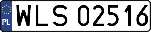 WLS02516